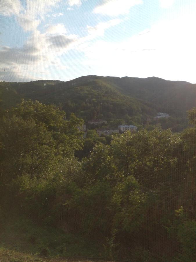 Pirosmani 66 Ξενοδοχείο Sighnaghi Εξωτερικό φωτογραφία