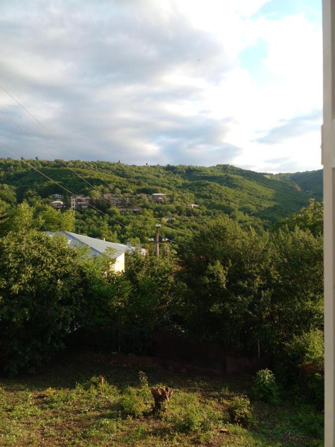 Pirosmani 66 Ξενοδοχείο Sighnaghi Εξωτερικό φωτογραφία