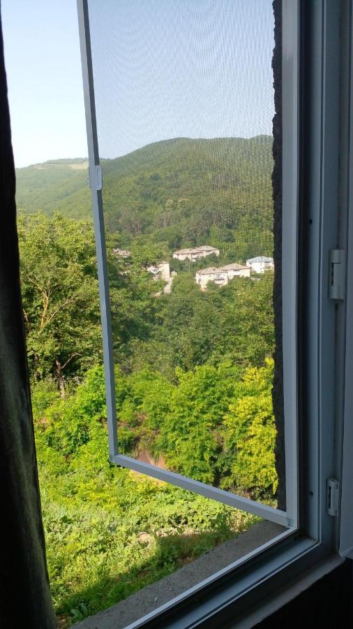 Pirosmani 66 Ξενοδοχείο Sighnaghi Εξωτερικό φωτογραφία