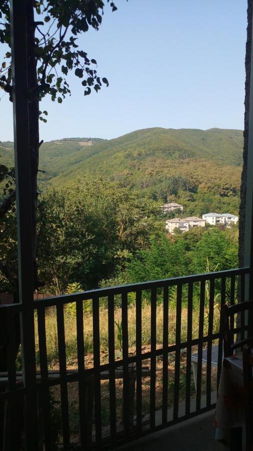 Pirosmani 66 Ξενοδοχείο Sighnaghi Εξωτερικό φωτογραφία